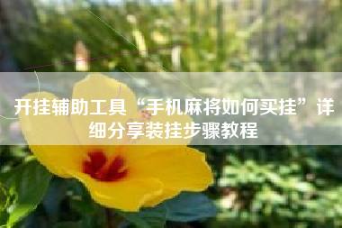 开挂辅助工具“手机麻将如何买挂”详细分享装挂步骤教程