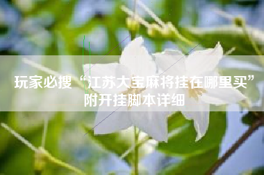 玩家必搜“江苏大宝麻将挂在哪里买”附开挂脚本详细