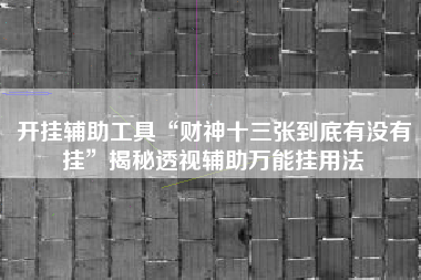 开挂辅助工具“财神十三张到底有没有挂”揭秘透视辅助万能挂用法