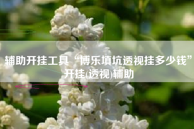 辅助开挂工具“博乐填坑透视挂多少钱”开挂(透视)辅助