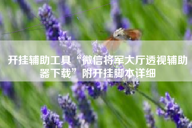 开挂辅助工具“微信将军大厅透视辅助器下载	”附开挂脚本详细