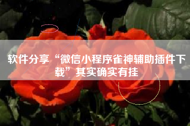 软件分享“微信小程序雀神辅助插件下载”其实确实有挂