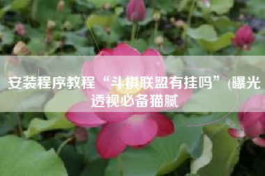 安装程序教程“斗棋联盟有挂吗”(曝光透视必备猫腻