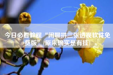 今日必看教程“闲聊拼三张透视软件免费版”(原来确实是有挂)