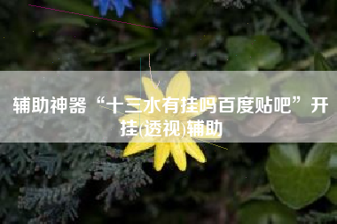 辅助神器“十三水有挂吗百度贴吧”开挂(透视)辅助