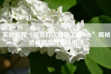 实操教程“河洛杠次辅助工具ed2k”揭秘透视辅助万能挂用法