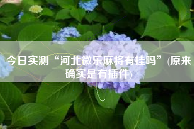 今日实测“河北微乐麻将有挂吗”(原来确实是有插件)