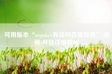 可用版本“wepoker有挂吗百度知道	”(透视)开挂详细教程