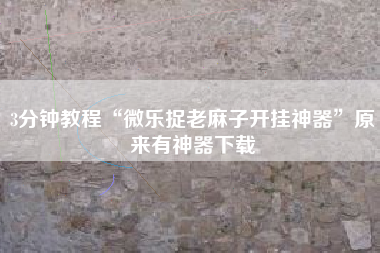 3分钟教程“微乐捉老麻子开挂神器	”原来有神器下载