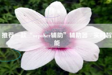 推荐一款“wepoKer辅助”辅助器 - 实时智能