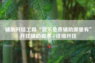 辅助开挂工具“微乐免费辅助哪里有	”开挂辅助脚本+详细开挂