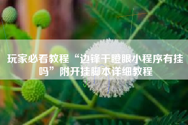 玩家必看教程“边锋干瞪眼小程序有挂吗”附开挂脚本详细教程