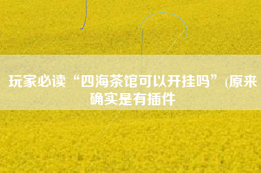 玩家必读“四海茶馆可以开挂吗”(原来确实是有插件