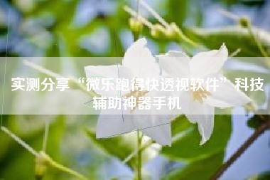 实测分享“微乐跑得快透视软件”科技辅助神器手机
