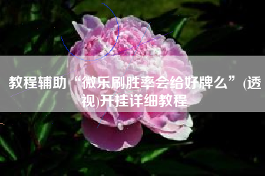 教程辅助“微乐刷胜率会给好牌么”(透视)开挂详细教程