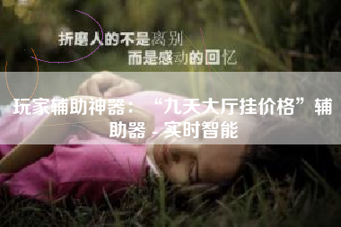 玩家辅助神器：“九天大厅挂价格”辅助器 - 实时智能