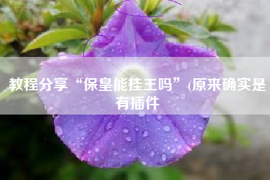 教程分享“保皇能挂王吗	”(原来确实是有插件