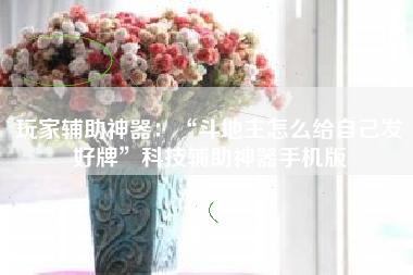 玩家辅助神器：“斗地主怎么给自己发好牌”科技辅助神器手机版