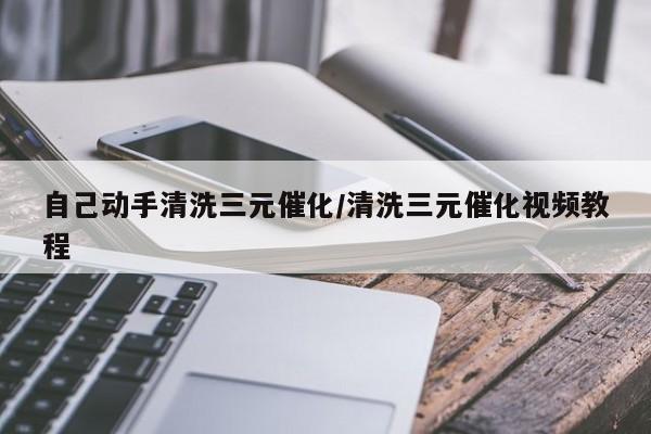 自己动手清洗三元催化/清洗三元催化视频教程