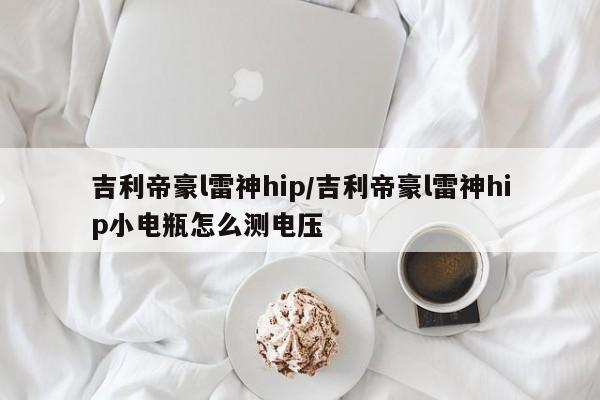 吉利帝豪l雷神hip/吉利帝豪l雷神hip小电瓶怎么测电压
