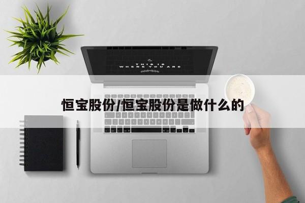 恒宝股份/恒宝股份是做什么的
