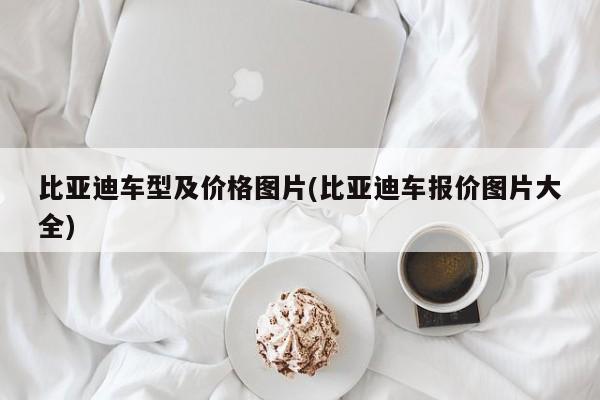比亚迪车型及价格图片(比亚迪车报价图片大全)