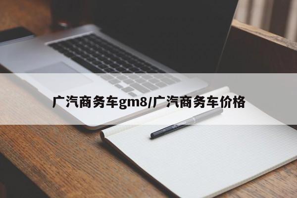 广汽商务车gm8/广汽商务车价格