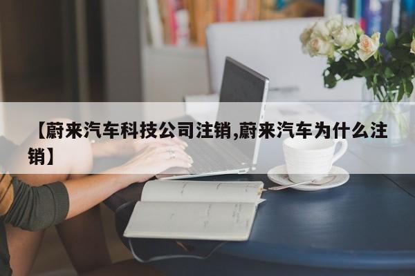 【蔚来汽车科技公司注销,蔚来汽车为什么注销】