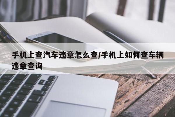 手机上查汽车违章怎么查/手机上如何查车辆违章查询
