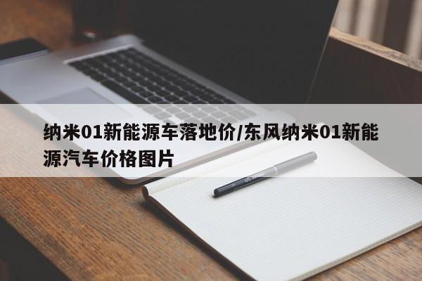 纳米01新能源车落地价/东风纳米01新能源汽车价格图片