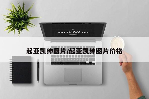 起亚凯绅图片/起亚凯绅图片价格